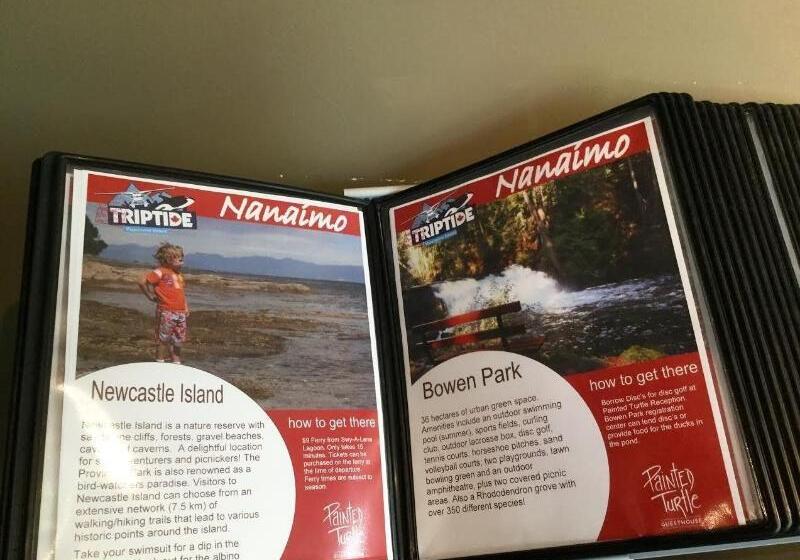 호스텔 Painted Turtle Guesthouse