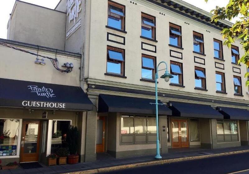 호스텔 Painted Turtle Guesthouse