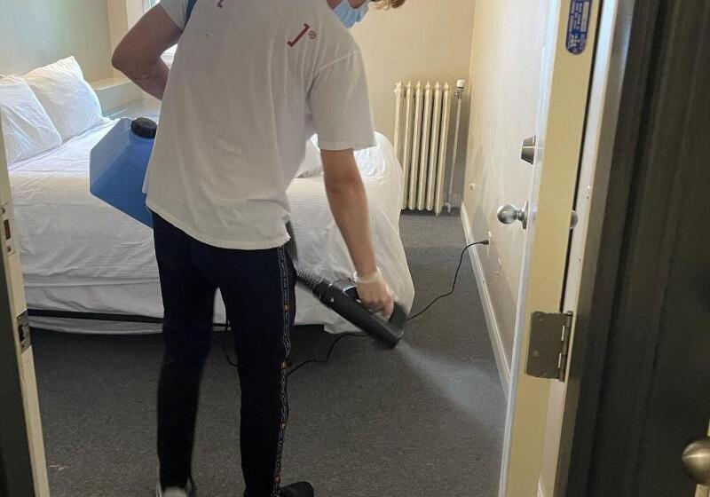 호스텔 Painted Turtle Guesthouse