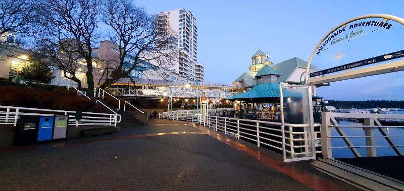 호스텔 Painted Turtle Guesthouse