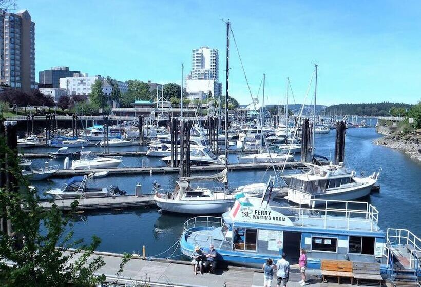 호스텔 Painted Turtle Guesthouse