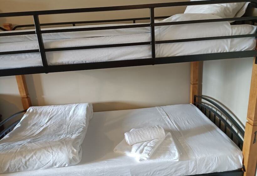 호스텔 Painted Turtle Guesthouse