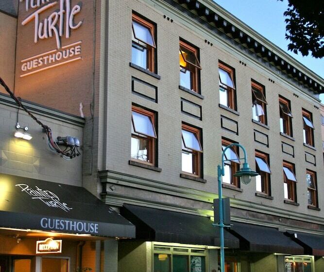 호스텔 Painted Turtle Guesthouse