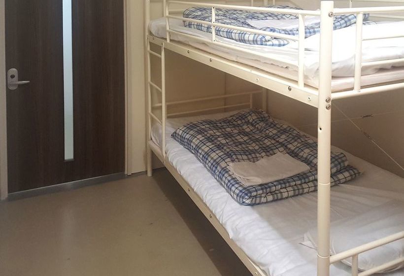 Общежитие Rodem House