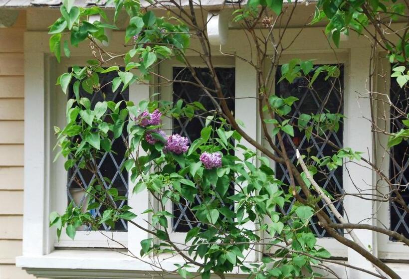 Apple Tree Historic B&b