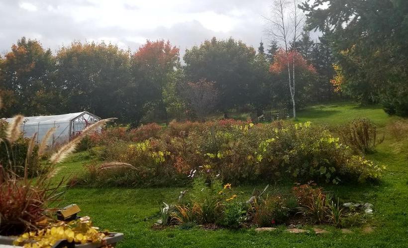 مبيت وإفطار Gîte Aux Jardins De L Anse