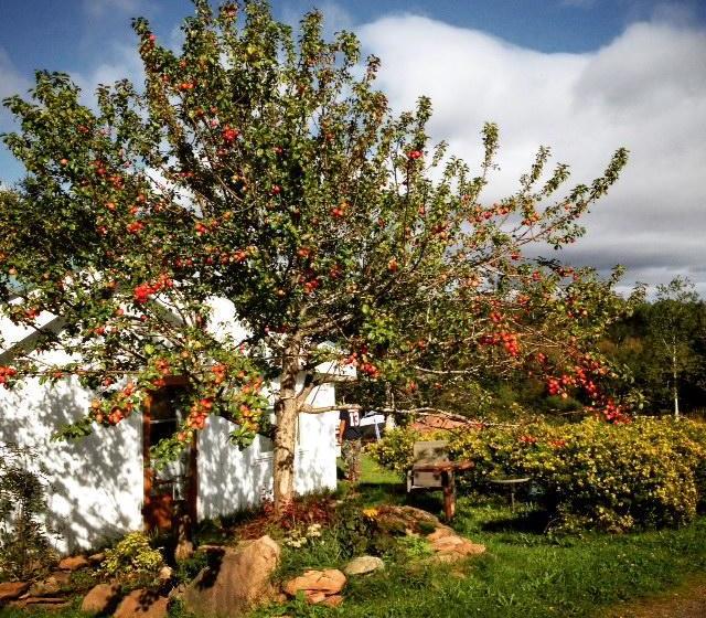 مبيت وإفطار Gîte Aux Jardins De L Anse
