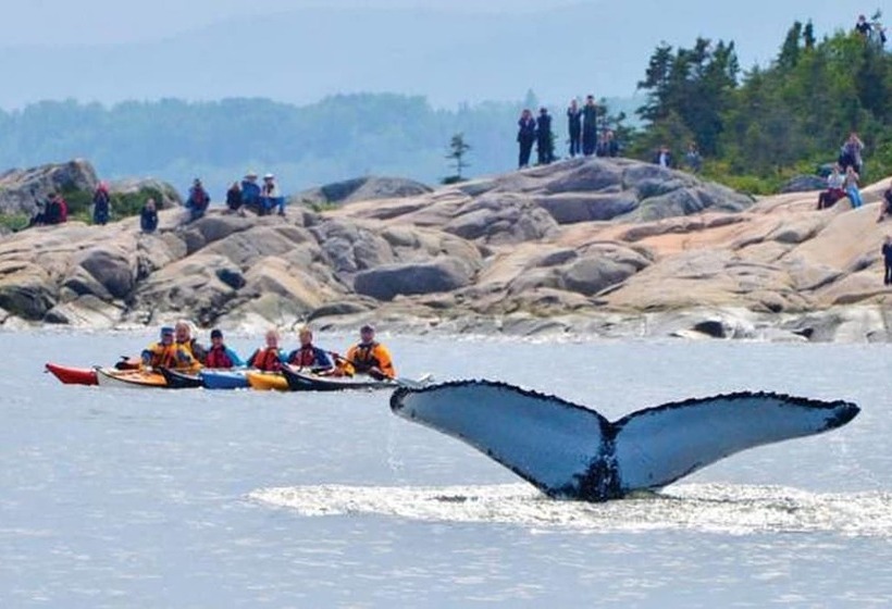 مبيت وإفطار Gite Au Vieux Pommier