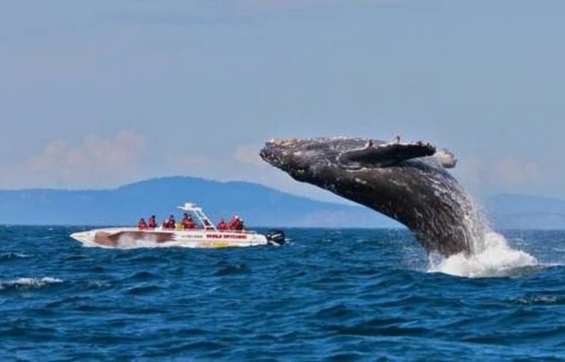 Bed and Breakfast Gite Au Vieux Pommier