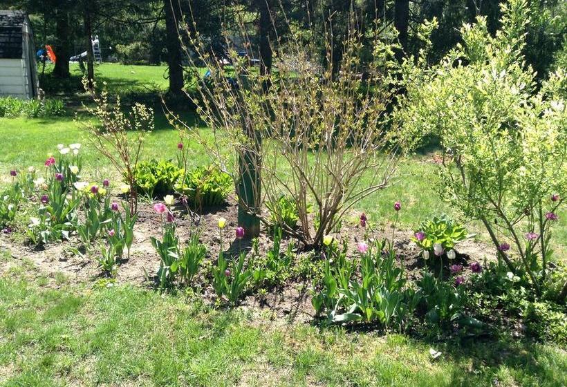 مبيت وإفطار Gite De Brouage