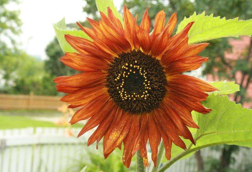 ベッドアンドブレックファースト Gite Fleury