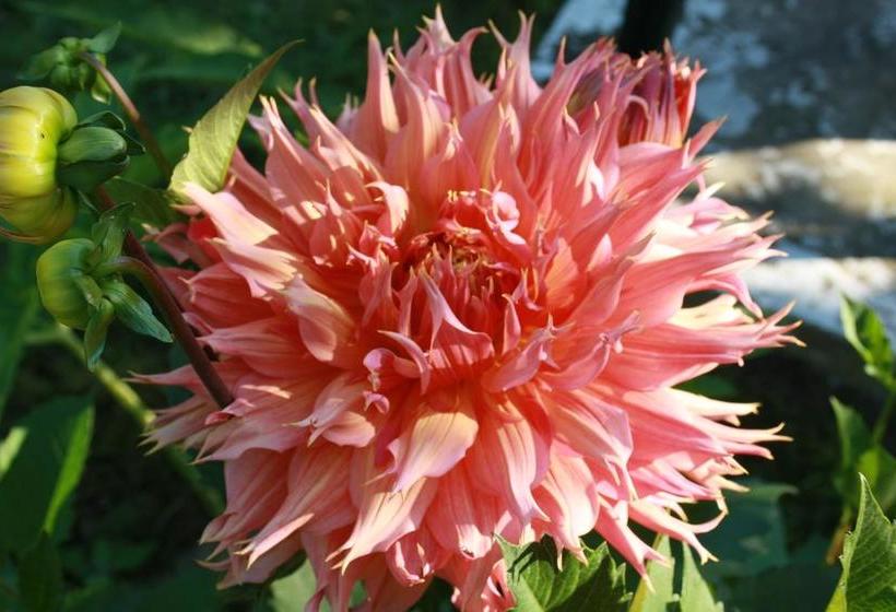 ベッドアンドブレックファースト Gite Fleury