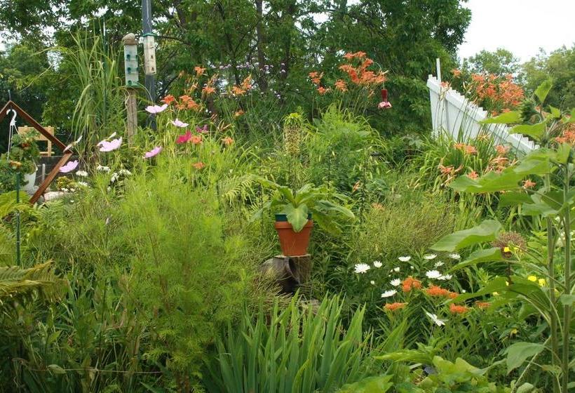 ベッドアンドブレックファースト Gite Fleury