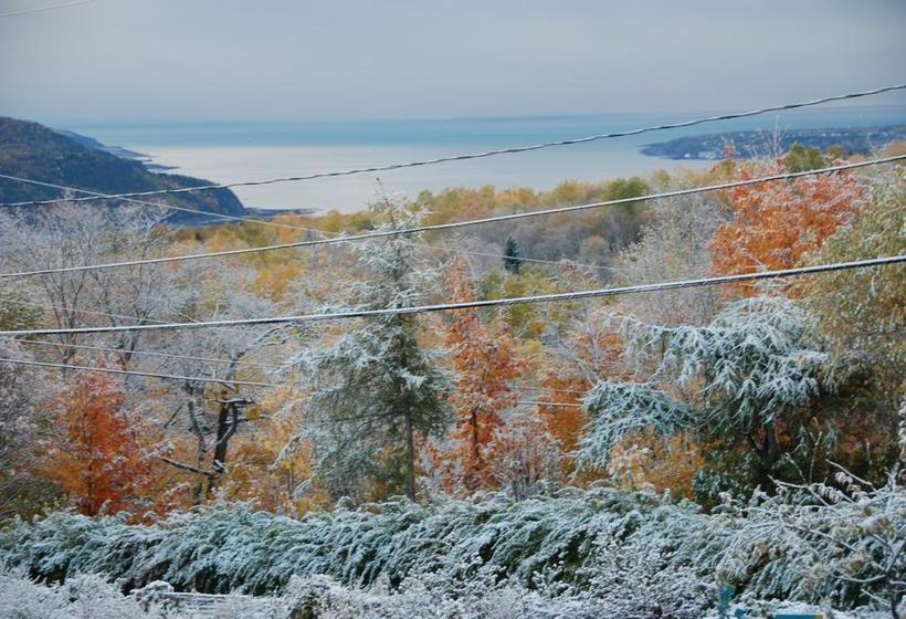 ベッドアンドブレックファースト Gite Noble Queteux