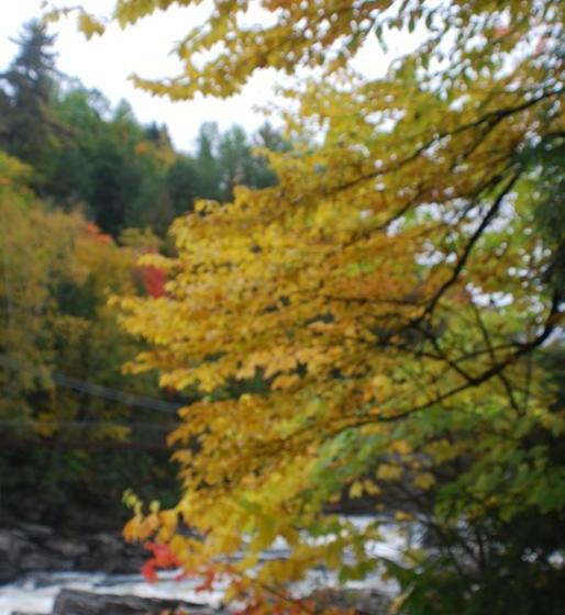 ベッドアンドブレックファースト Gite Noble Queteux