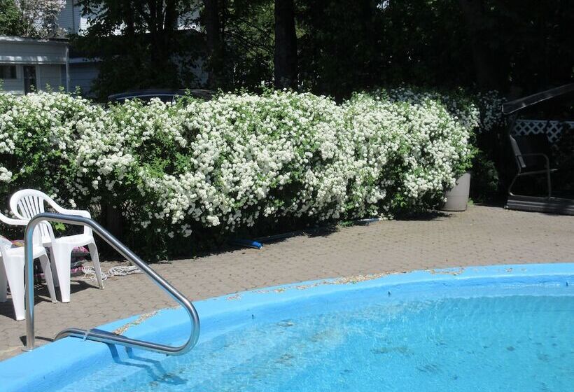 تختخواب و صبحانه Gîte Saint Laurent