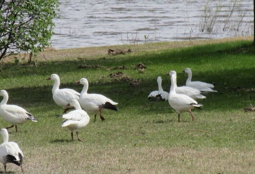 تختخواب و صبحانه Gîte Saint Laurent