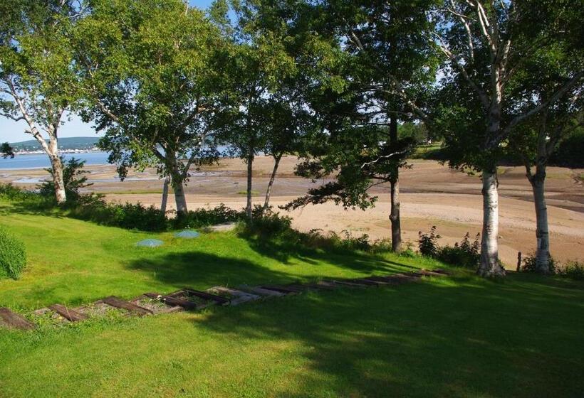 مبيت وإفطار Hedley House Inn