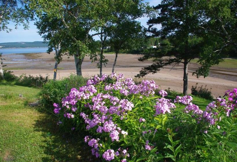 مبيت وإفطار Hedley House Inn