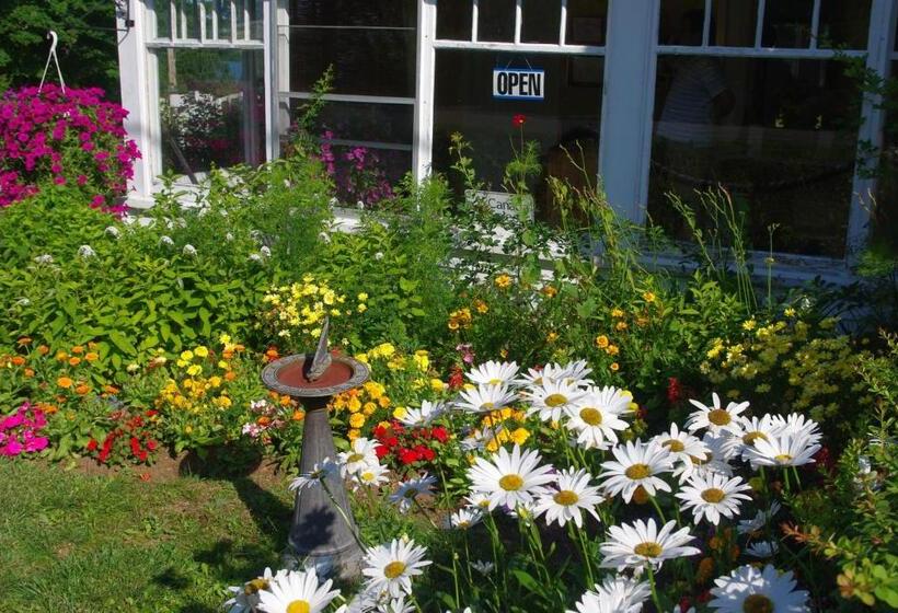 مبيت وإفطار Hedley House Inn