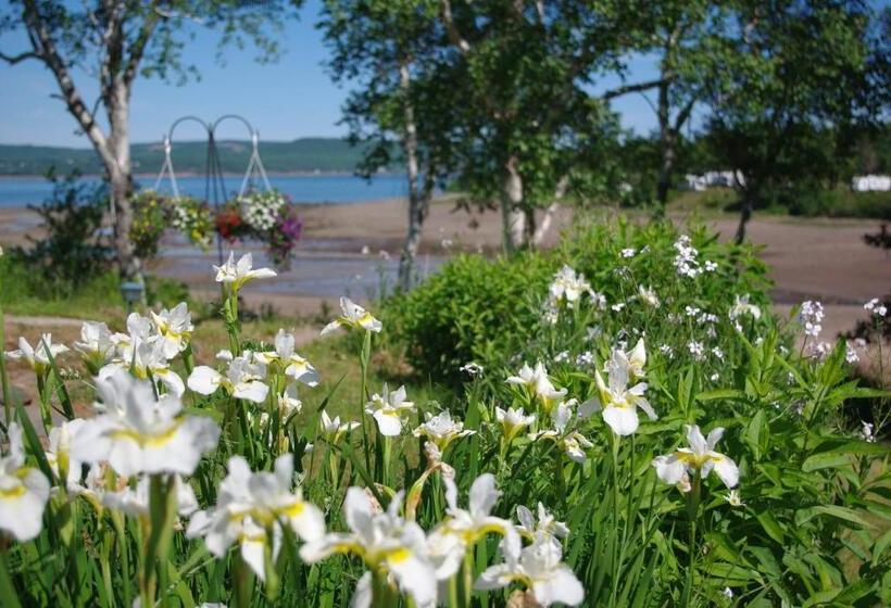 مبيت وإفطار Hedley House Inn