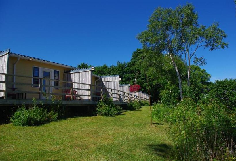 مبيت وإفطار Hedley House Inn