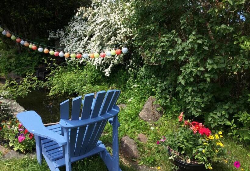 مبيت وإفطار Hedley House Inn