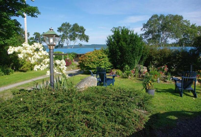 مبيت وإفطار Hedley House Inn