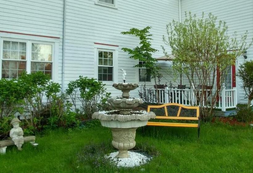 住宿加早餐  Inn On Frederick