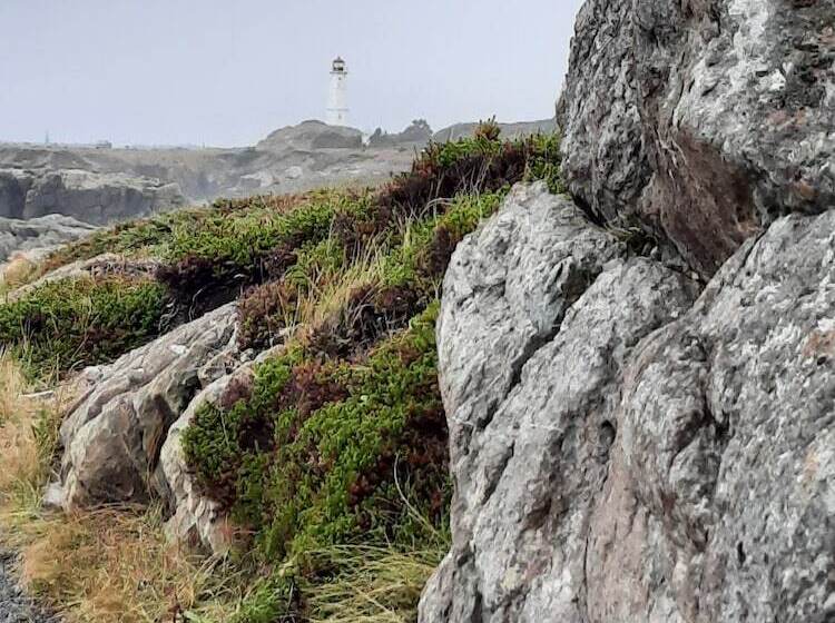 مبيت وإفطار Louisbourg Heritage House