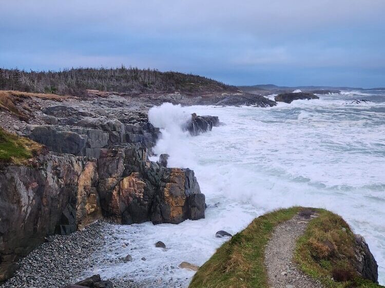 مبيت وإفطار Louisbourg Heritage House