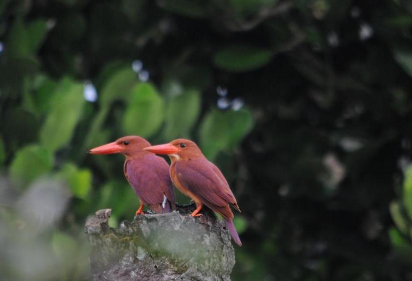 مبيت وإفطار Lulaliya