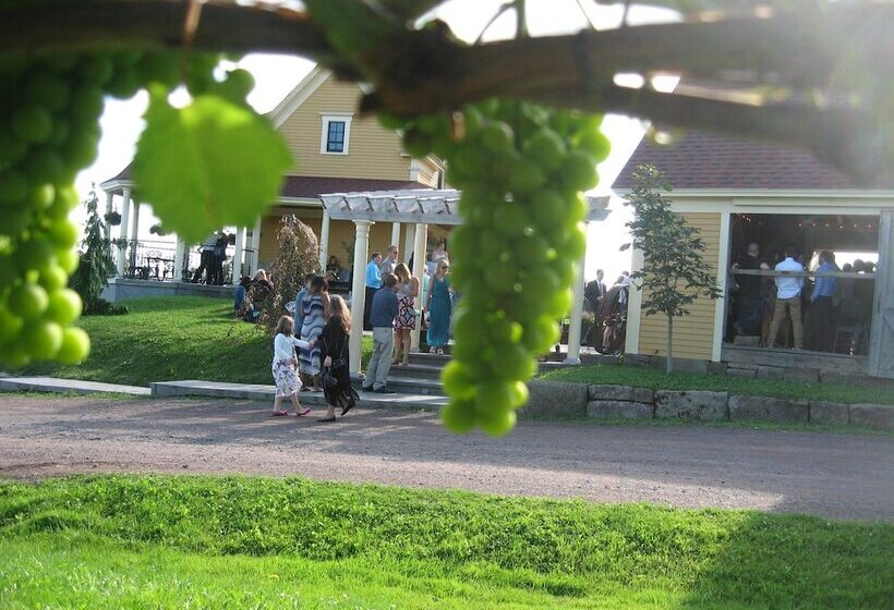 ベッドアンドブレックファースト Magnetic Hill Winery