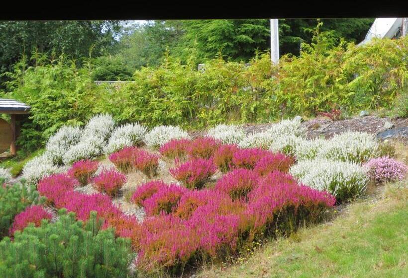 ベッドアンドブレックファースト Moon And Sixpence