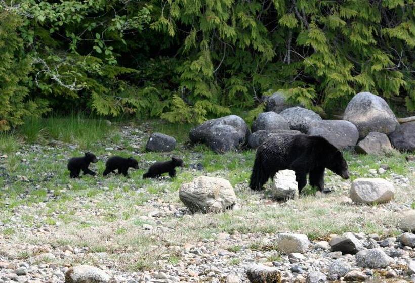 ベッドアンドブレックファースト Moon And Sixpence