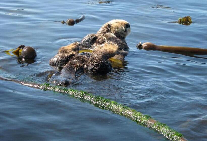 ベッドアンドブレックファースト Moon And Sixpence