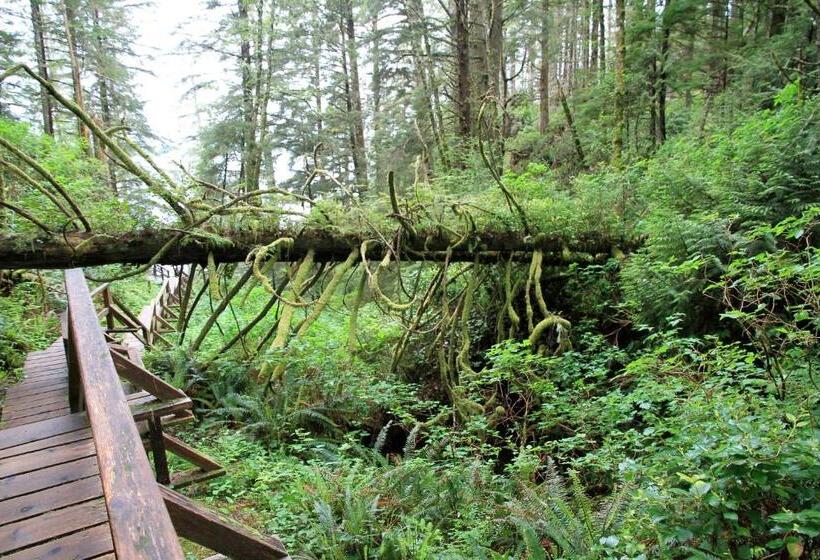 ベッドアンドブレックファースト Moon And Sixpence