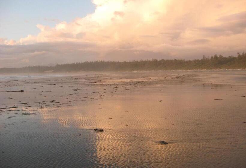 ベッドアンドブレックファースト Moon And Sixpence