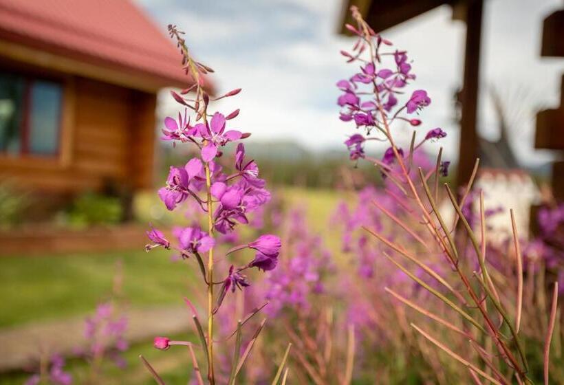 مبيت وإفطار Northern Lights Resort & Spa