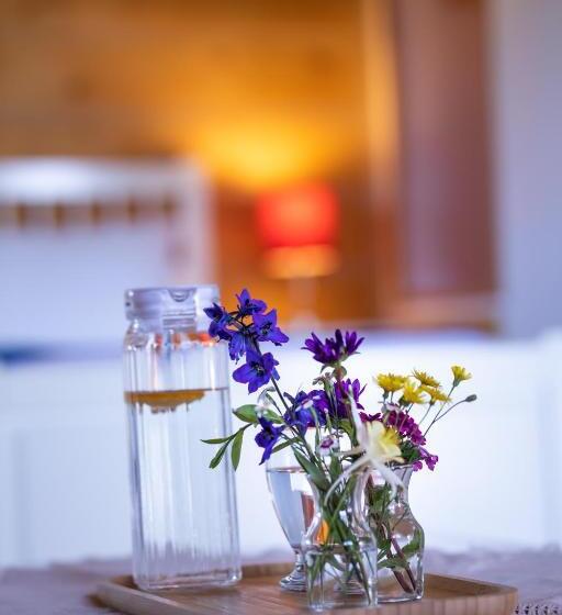 مبيت وإفطار Northern Lights Resort & Spa