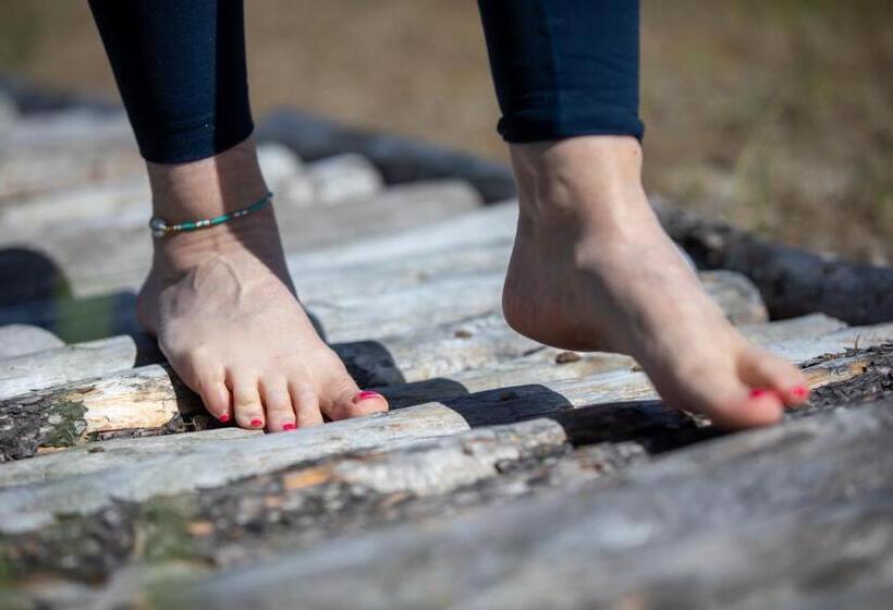 مبيت وإفطار Northern Lights Resort & Spa