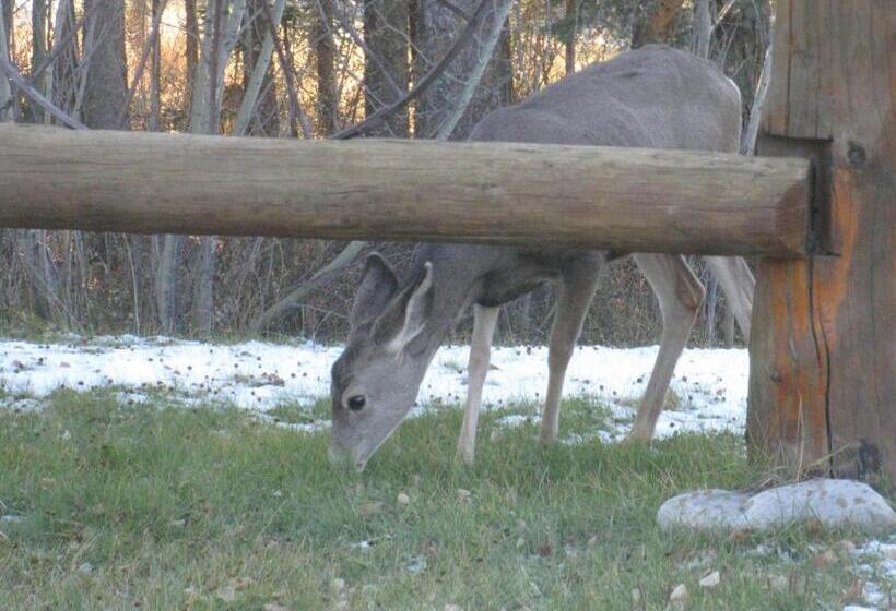 Bed and Breakfast Rustlers Lodge