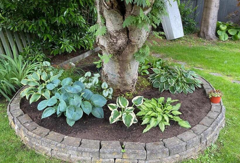 ベッドアンドブレックファースト Serenity