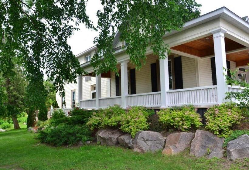 مبيت وإفطار The White House