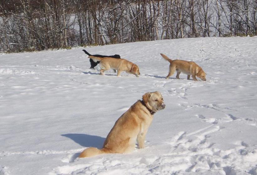 צימר Family Camp Hanafurari