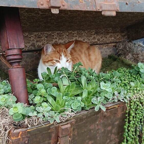 Colborne Bed And Breakfast