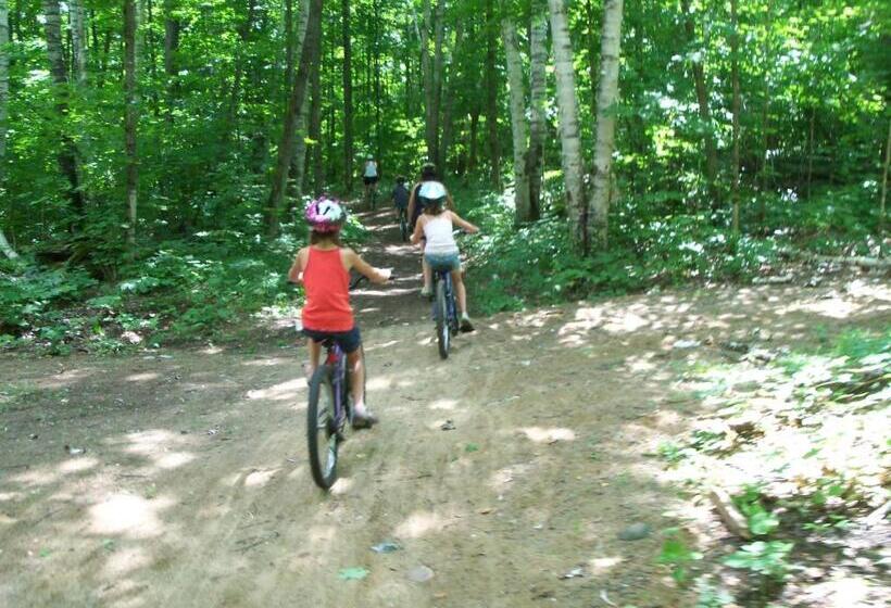 Dwight Village Motel