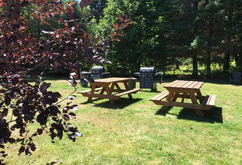 Dwight Village Motel