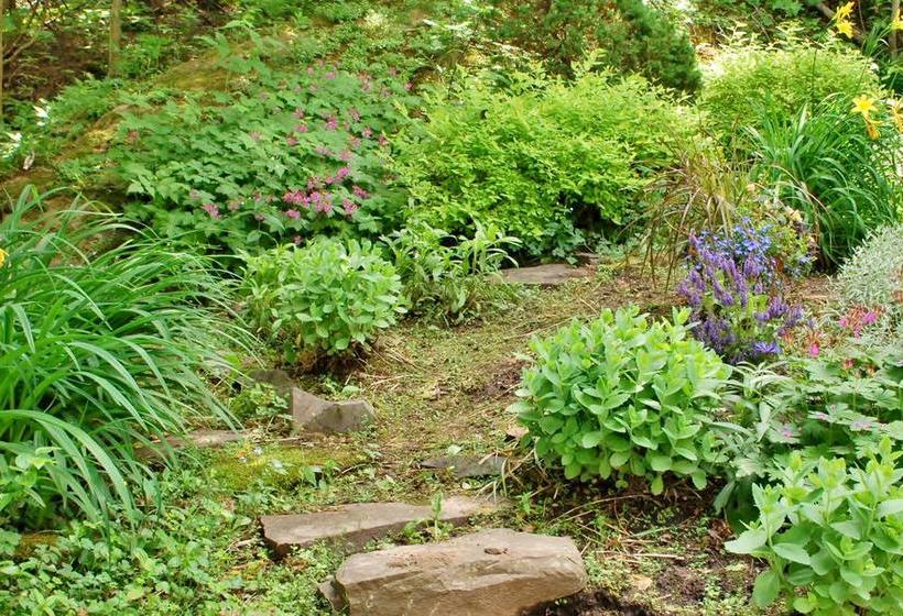 Fundy Heights B&b