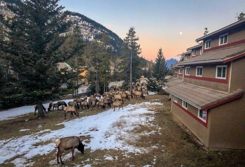 Hi Banff Alpine Centre   Hostel
